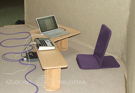 Instaliacija „Garso korys“