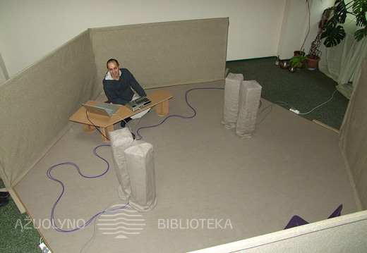 Instaliacija „Garso korys“ 