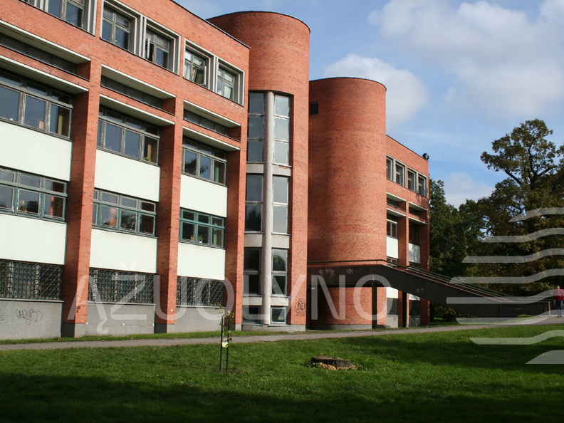 Ąžuoliuko sodinimas
