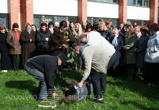 Ąžuoliuko sodinimas