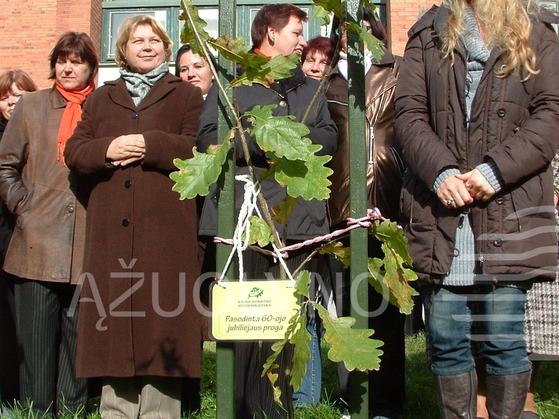 Ąžuoliuko sodinimas