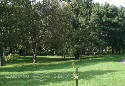 Ąžuoliuko sodinimas