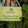 Ąžuoliuko sodinimas