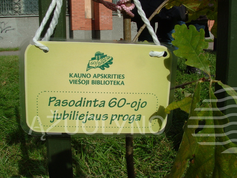 Ąžuoliuko sodinimas