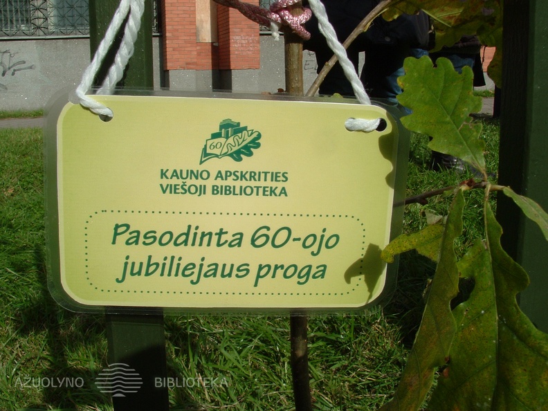 12.JPG