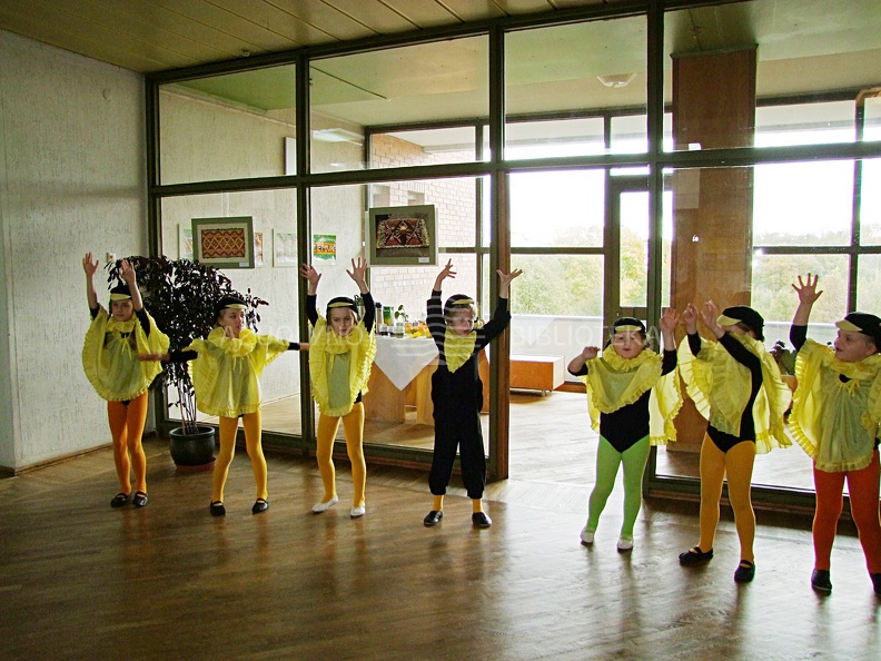 Parodos atidarymo akimirkos