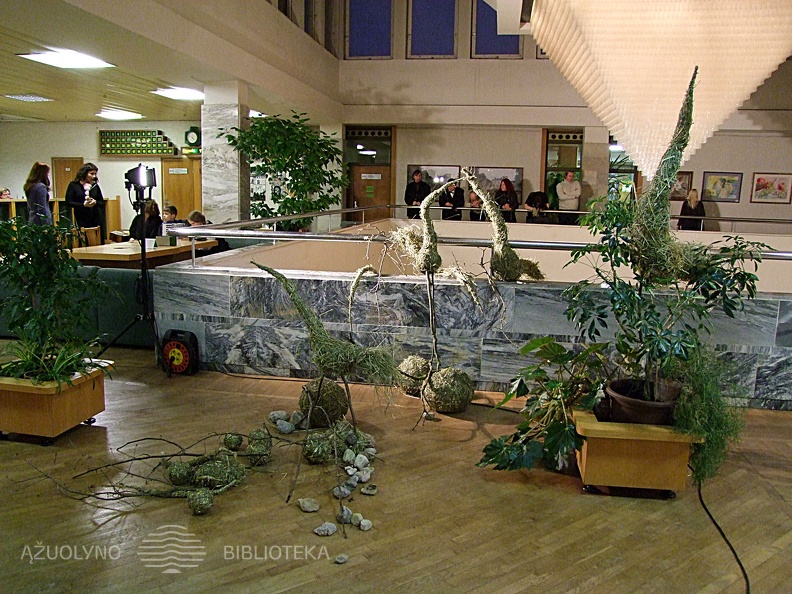 DSCF8597.jpg
