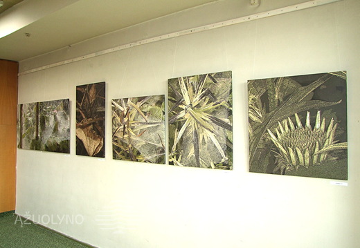 Skaitmeninės fotografijos paroda ant drobės Meno leidinių skaitykloje