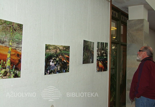 Parodos atidarymo belaukiant