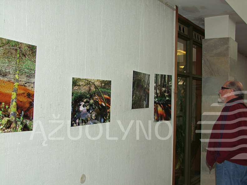 Parodos atidarymo belaukiant