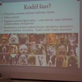 Justinos Baškytės pristatymo „Bendruomenės kuriamas traukos objektas Birštonui“ akimirka