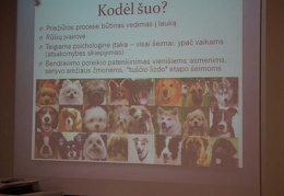Justinos Baškytės pristatymo „Bendruomenės kuriamas traukos objektas Birštonui“ akimirka