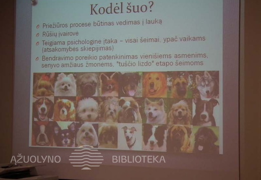 Justinos Baškytės pristatymo „Bendruomenės kuriamas traukos objektas Birštonui“ akimirka