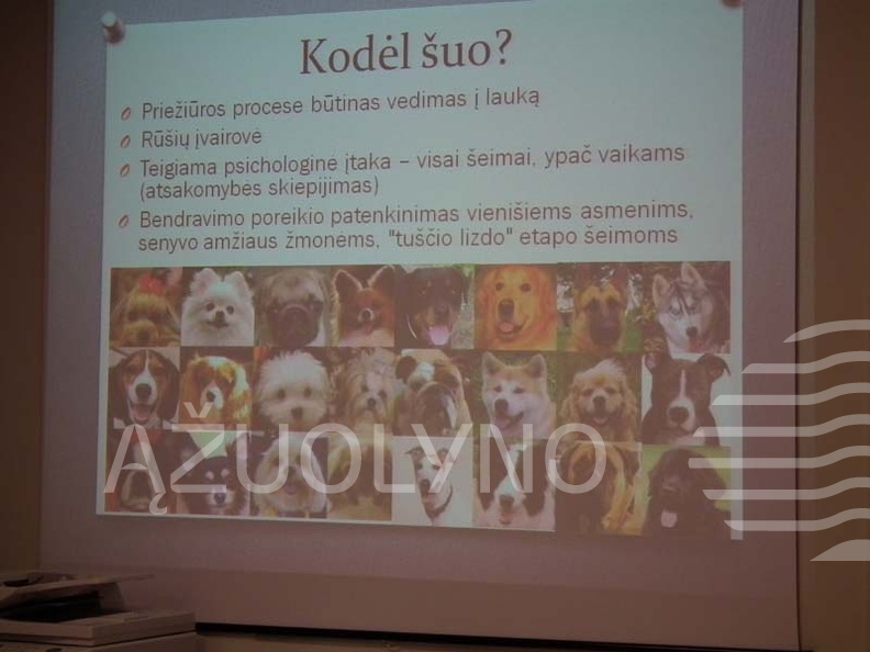 Justinos Baškytės pristatymo „Bendruomenės kuriamas traukos objektas Birštonui“ akimirka