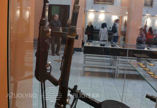 Vytauto Didžiojo karo muziejaus eksponatai