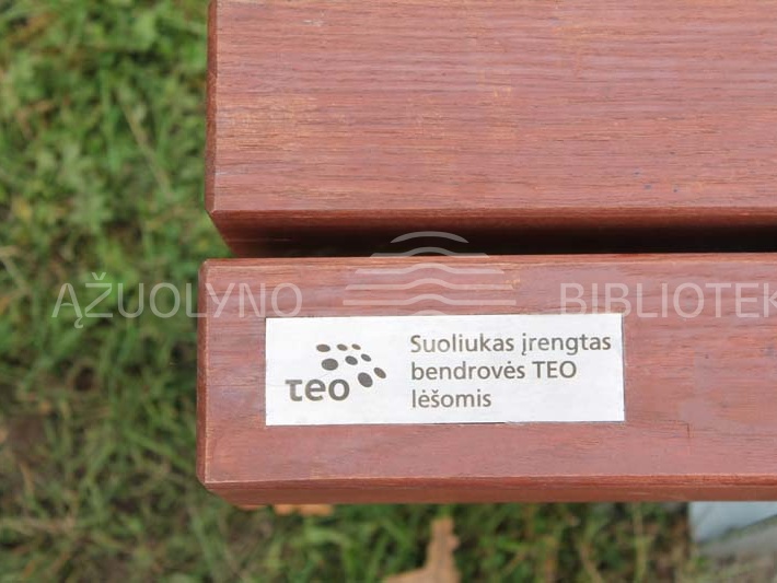 Suoliukų idėją įgyvendino Kauno apskrities viešoji biblioteka ir telekomunikacijų bendrovė TEO