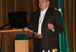 Prof. habil. dr. Aleksandras Targamadzė (Kauno technologijos universitetas) 