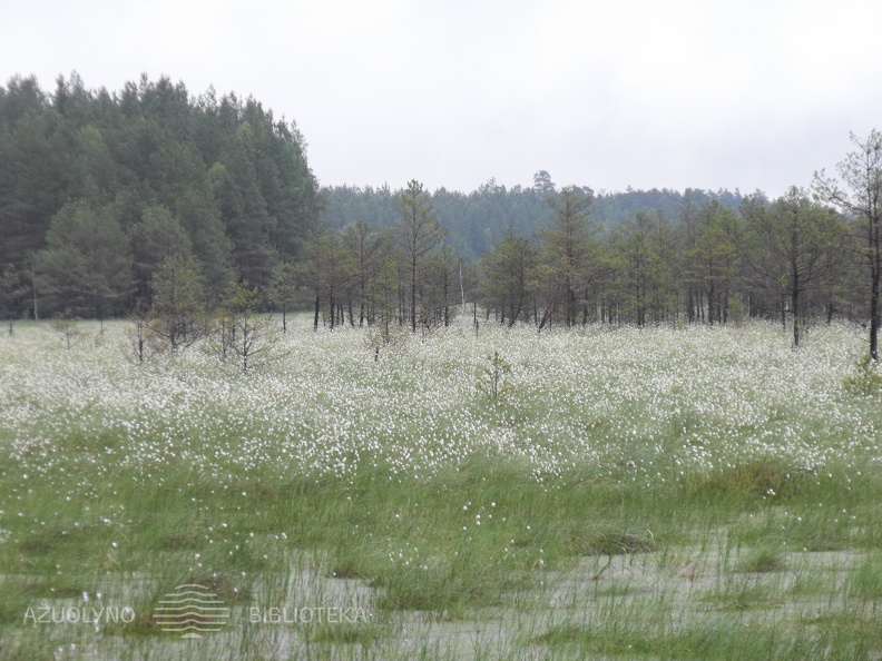 DSCF7096.JPG