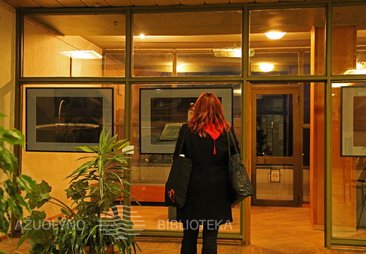 Parodos atidarymo akimirka 