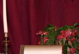 Renginio akimirka.