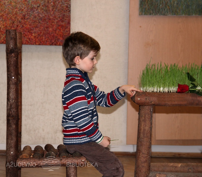 IMG3626.jpg