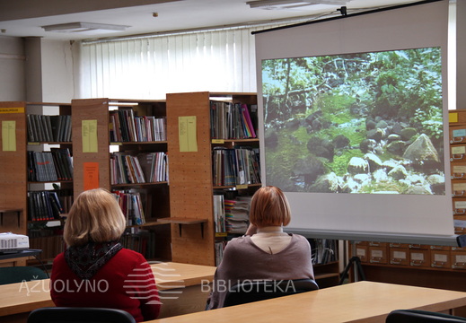 Šaltinis Aitra Lopaičių alkakalnyje