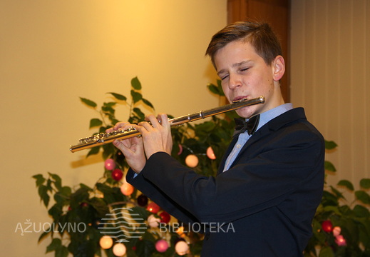 Fleita groja Kristijonas Bučiūnas