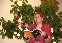 Renginio akimirka