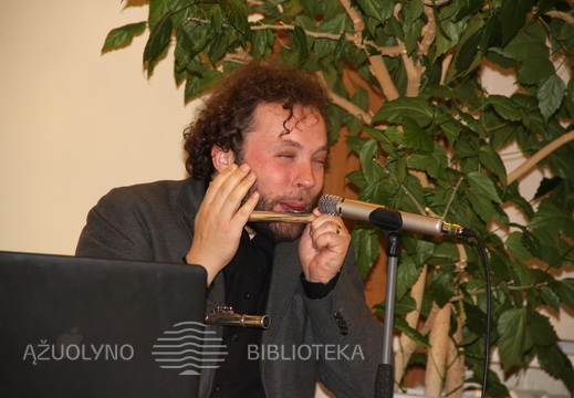 Multiinstrumentalistas Saulius Petreikis