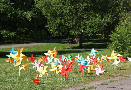 Vasara su knyga atidarymas