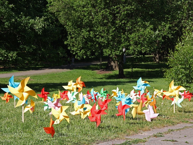 Vasara su knyga atidarymas