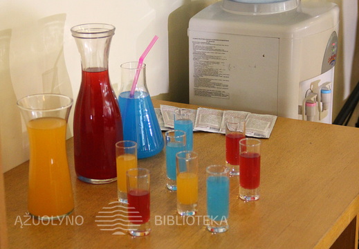 Vasara su knyga atidarymas