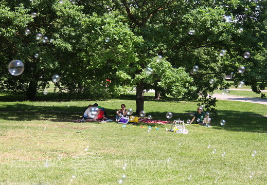 Vasara su knyga atidarymas