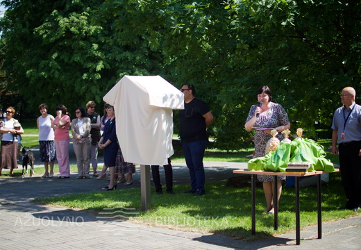 Vasara su knyga atidarymas