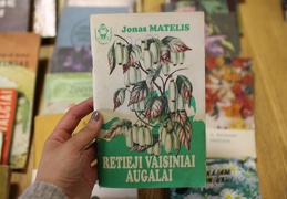 Kaimynų diena