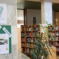 Pasivaikščiojimas po biblioteką su Džoisu, arba Bliumo diena