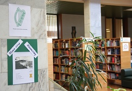 Pasivaikščiojimas po biblioteką su Džoisu, arba Bliumo diena