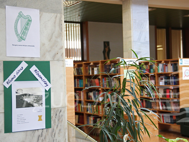 Pasivaikščiojimas po biblioteką su Džoisu, arba Bliumo diena