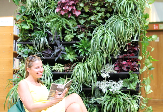 Žaliosios sienelės atidarymas