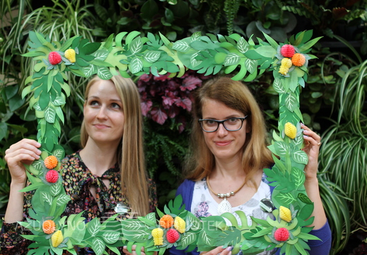 Žaliosios sienelės atidarymas