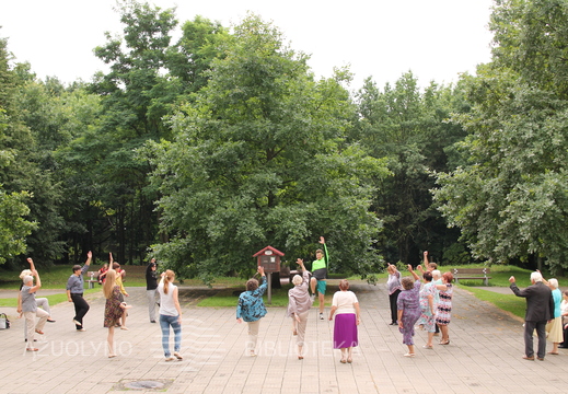 Žaliosios sienelės atidarymas