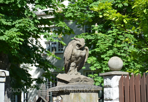 Skaitymai „Pelėdžiuko sapnas“ ant pelėdų kalno