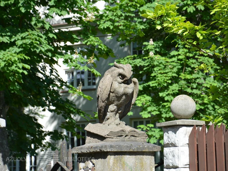 Skaitymai „Pelėdžiuko sapnas“ ant pelėdų kalno