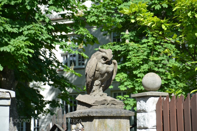 01peledziuko_sapnas_01.JPG