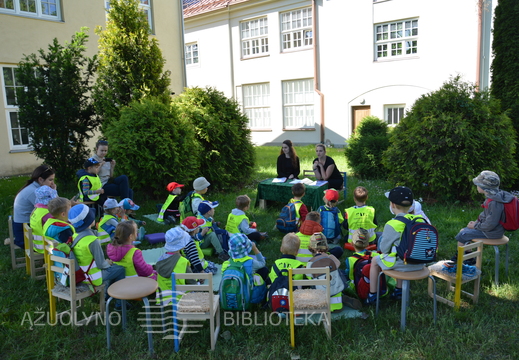 Skaitymai „Pelėdžiuko sapnas“ ant pelėdų kalno