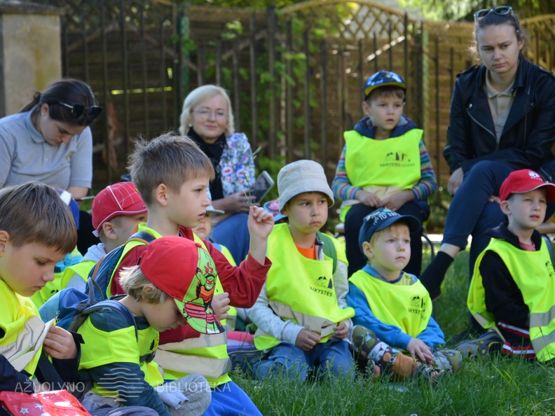 Skaitymai „Pelėdžiuko sapnas“ ant pelėdų kalno