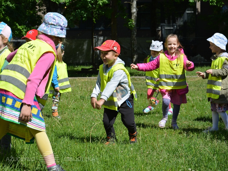 Skaitymai „Pelėdžiuko sapnas“ ant pelėdų kalno