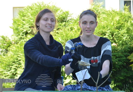 Skaitymai „Pelėdžiuko sapnas“ ant pelėdų kalno