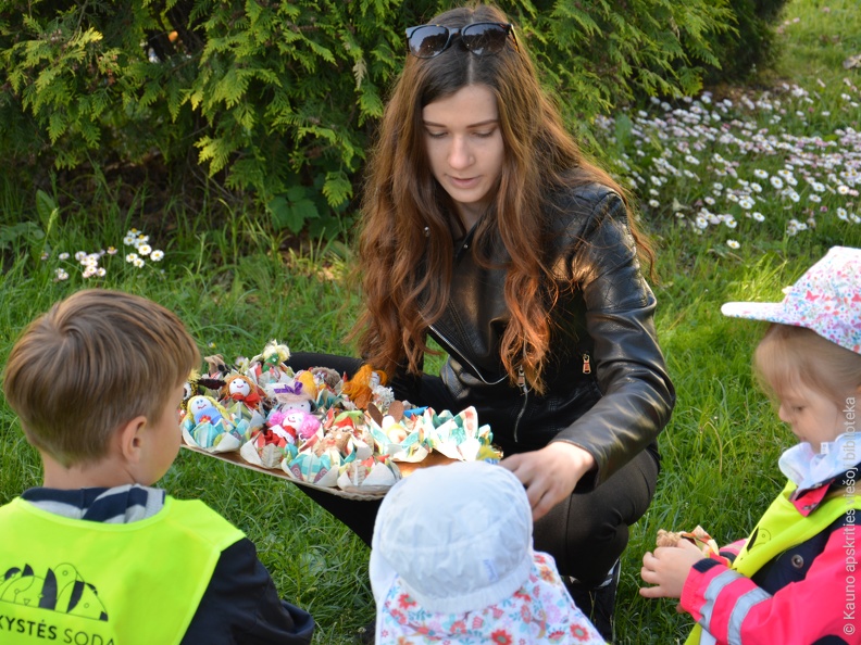 Skaitymai „Pelėdžiuko sapnas“ ant pelėdų kalno