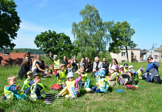 Skaitymai „Pelėdžiuko sapnas“ ant pelėdų kalno